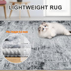 Area Rugs 10x12 Living Room - Image 6