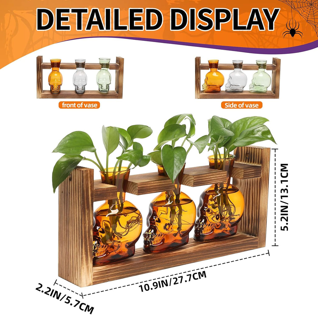 Plant Terrarium Propagation Stations Skull Planter Vase Skulls Decor