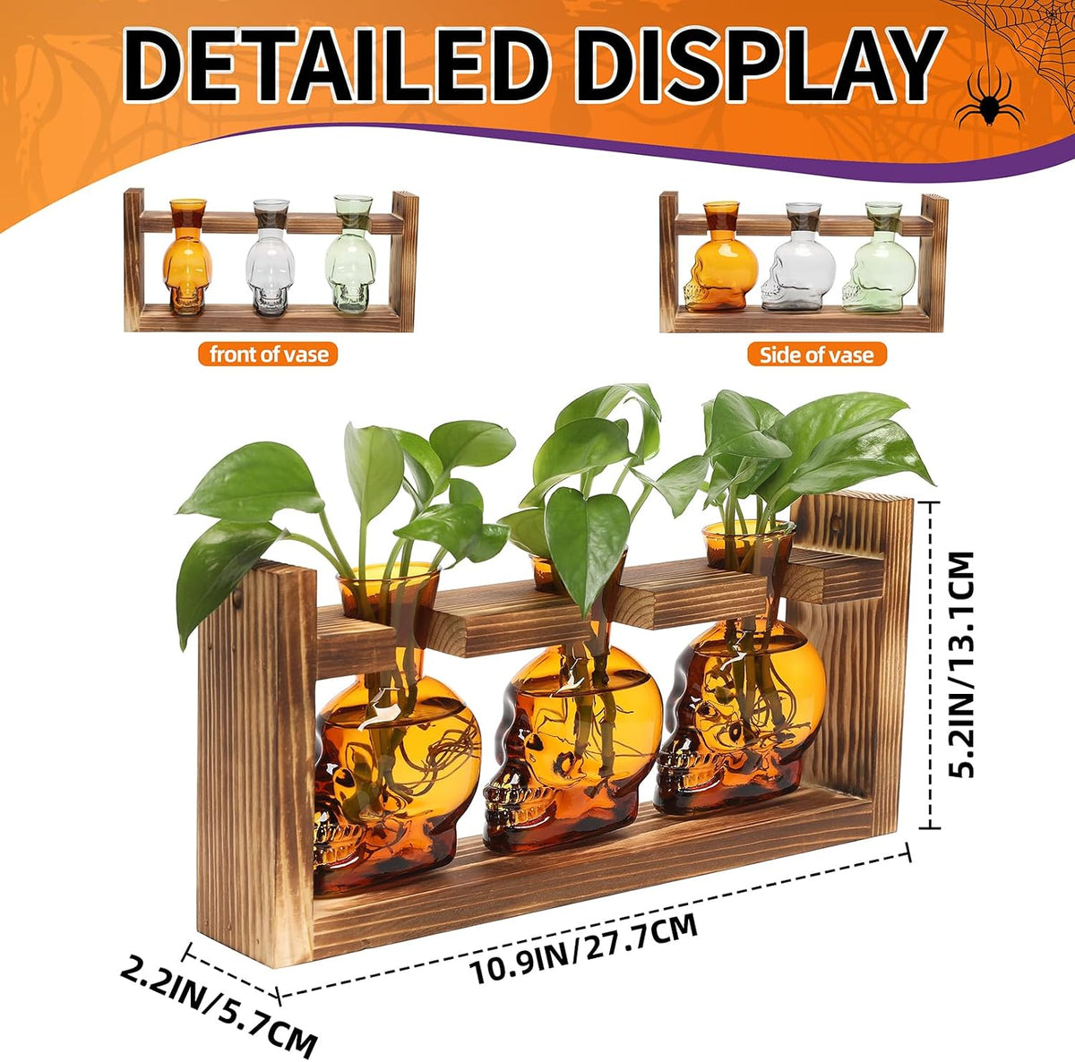 Plant Terrarium Propagation Stations Skull Planter Vase Skulls Decor