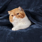 Bedsure GentleSoft Navy Blue Throw Blanket - Image 2