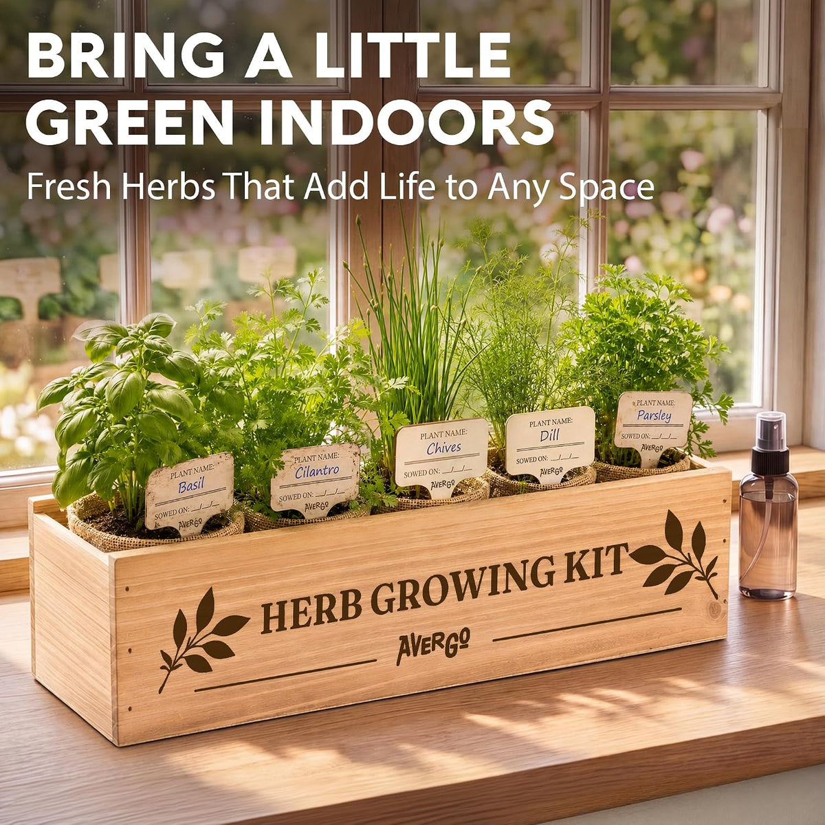 Indoor Herb Garden Kit, Herb Growing Kit for Kitchen and Windowsill