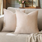 GIGIZAZA 22x22 Beige Pillow Covers: Pack of 2 Champagne Vintage Throw Pillows by GIGIZAZAFocusingonhomedecoration