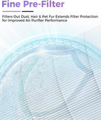 FP10 Replacement Filter Compatible with Dreame Air Purifier FP10