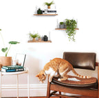 Floating Wall Shelves, Rustic Wood Wall Mounted Shelf Set of 3