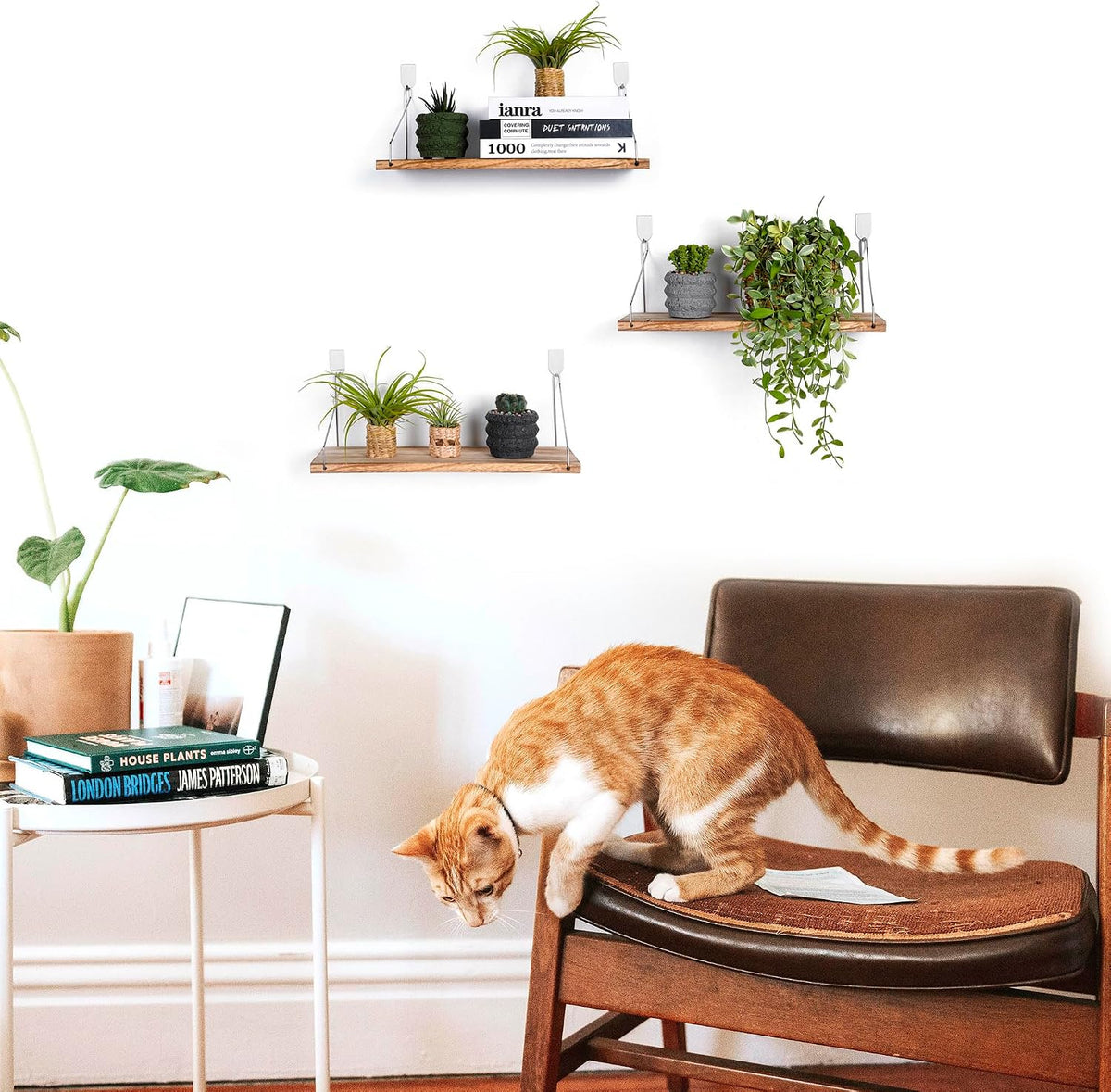 Floating Wall Shelves, Rustic Wood Wall Mounted Shelf Set of 3