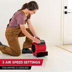 Vacmaster AM201 1101 Air Mover and Fitness Fan 550 CFM Drying and Cooling