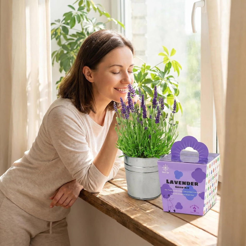 Lavender Grow Kit, All-in-One Indoor Flower Garden Starter Kit with Conical Metal Planter, Complete Growing Set for Gardening Enthusiasts, Windowsill Home Gardening