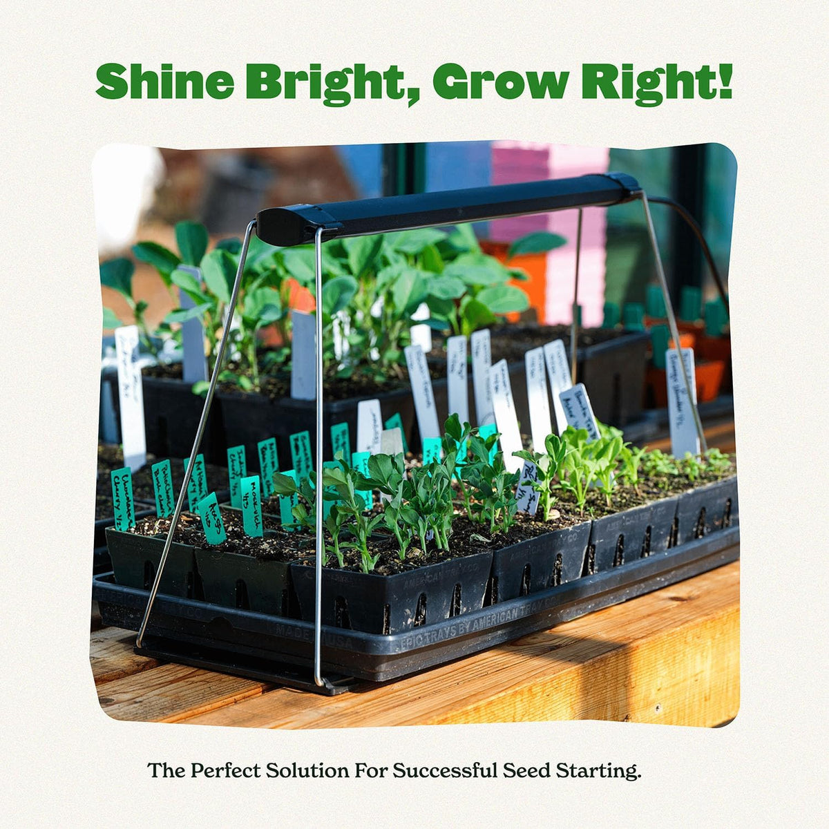 Seed Starting Grow Light - Full-Spectrum LED - Small