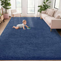 5x7 Area Rug for Living Room: Fluffy Shag Soft Washable Rugs Fuzzy Plush Indoor by VECARF