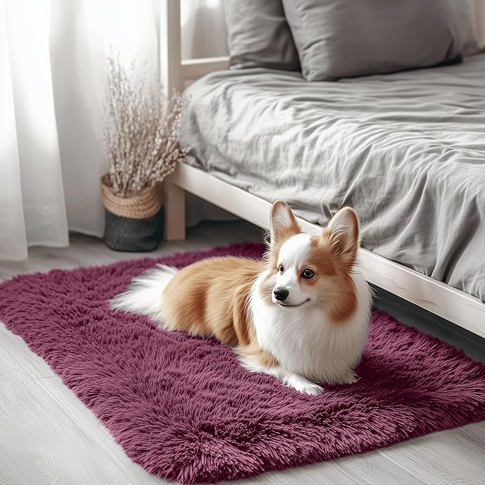 OLANLY 2x3 Machine Washable Small Bedside Rug, Soft Fluffy Shaggy Entryway by OLANLY