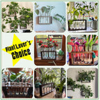 XXXFLOWER 5Test Tube Plant Propagation Station Plant Terrarium Wooden Stand