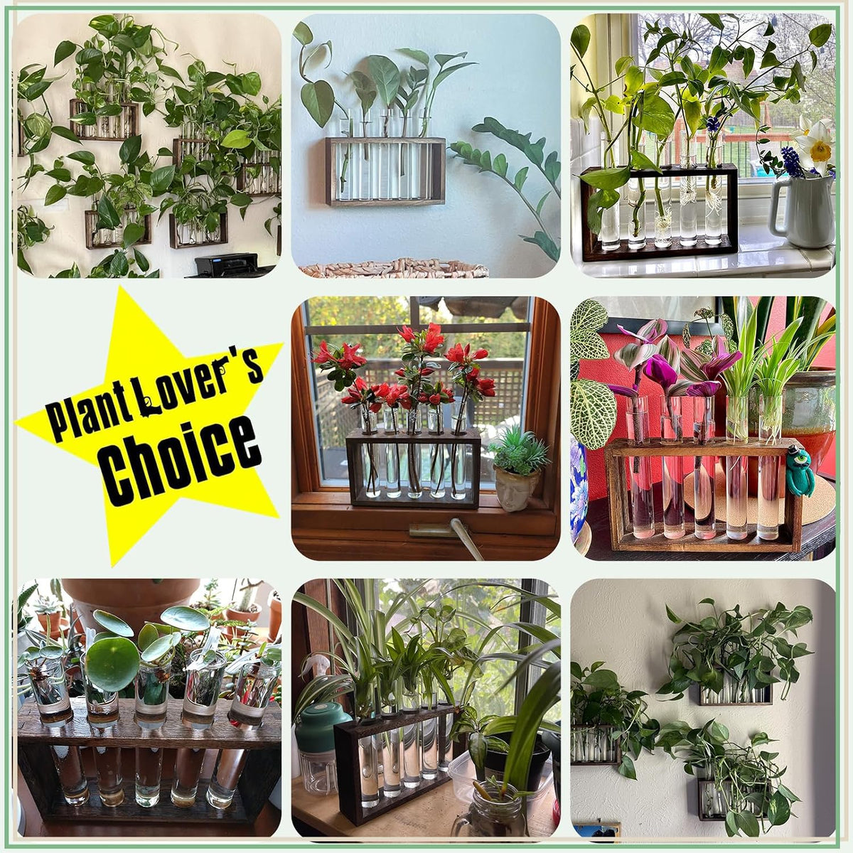 XXXFLOWER 5Test Tube Plant Propagation Station Plant Terrarium Wooden Stand