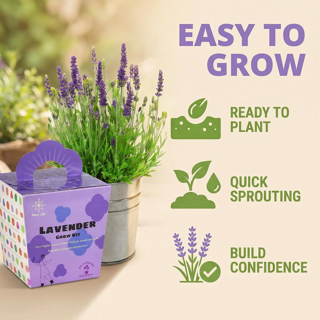 Lavender Grow Kit, All-in-One Indoor Flower Garden Starter Kit with Conical Metal Planter, Complete Growing Set for Gardening Enthusiasts, Windowsill Home Gardening
