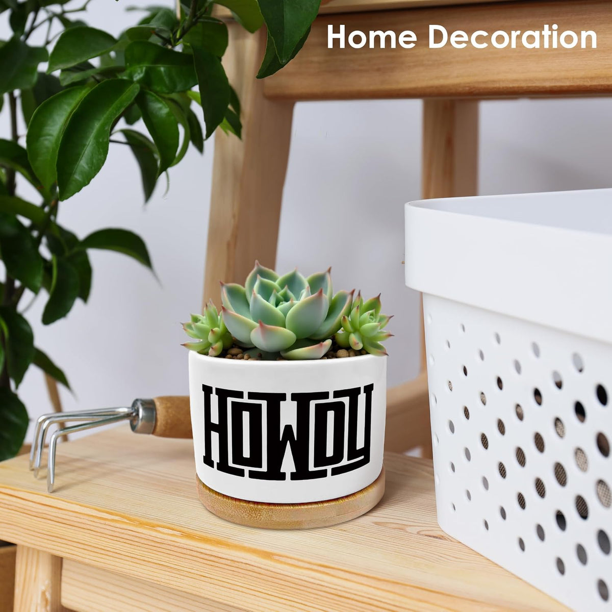 Howdy Western Plant Pots Succulent Planters
