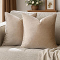 GIGIZAZA Decorative Throw Pillow Covers 24x24, Velvet Pillow Square Cushion by GIGIZAZAFocusingonhomedecoration