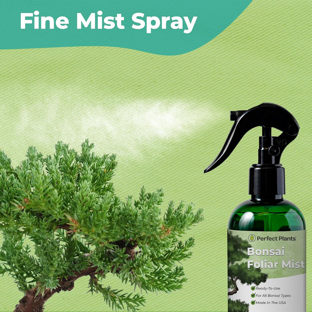 Perfect Plants Bonsai Fertilizer Spray, 8 oz, Liquid Tree Food