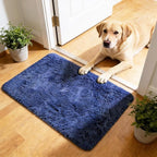 2x3 Fluffy Area Rugs for Bedroom Living Room, Small Soft Shag Fuzzy Rug by yulidayang