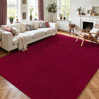 AROGAN Modern Shag Area Rug for Living Room, 5x7 Feet Washable Indoor Floor - Image 3
