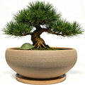 MUZHI 8 inch Round Unglazed Ceramic Bonsai Pot with Bamboo Tray, Shallow Plain Pottery Succulent Planter with Drainage Hole (8”)