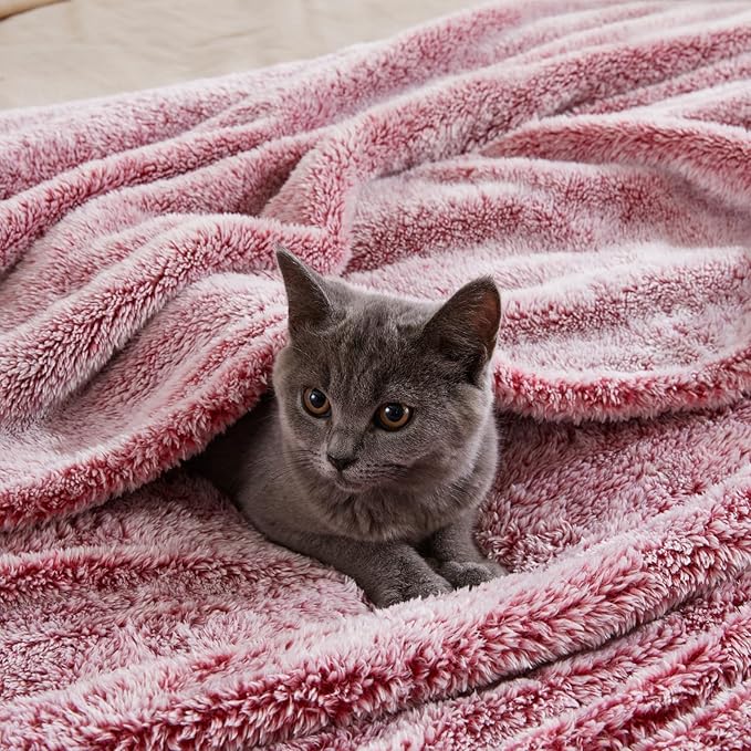 Exclusivo Mezcla Plush Fuzzy Fleece Throw Blanket Extra Large, Super Soft - Image 4