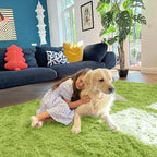 OLANLY 9x12 Machine Washable Large Area Rugs - Image 5