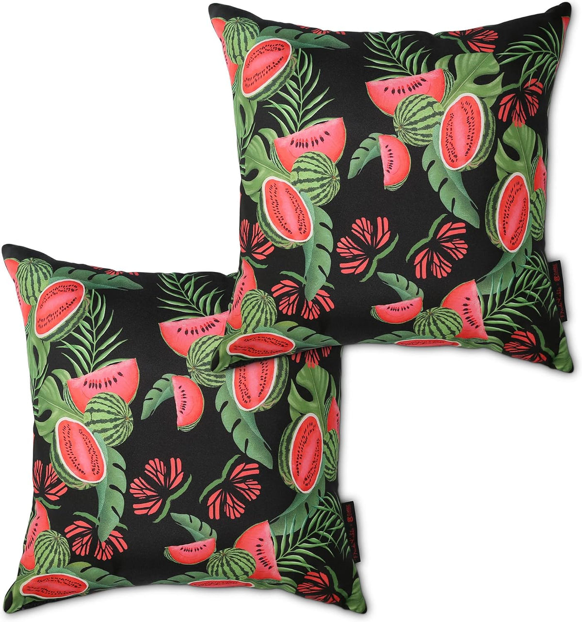 Classic Accessories Frida Kahlo Accent Pillows, 2-Pack, 18 Inch, Viva La Vida