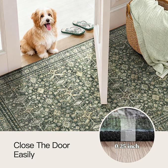 Lofus 3x5 Area Rug for Entryway, Washablee Soft Rugs for Bedroom, Living Room - Image 6