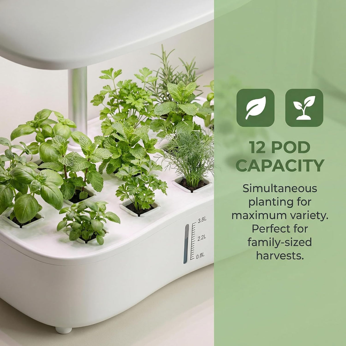 12 Pods Hydroponics Growing System Kit,Soil-Free Indoor Herbs Garden, White