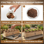 Bonsai Tree Starter Kit for Beginners 5 Unique Indoor Plants