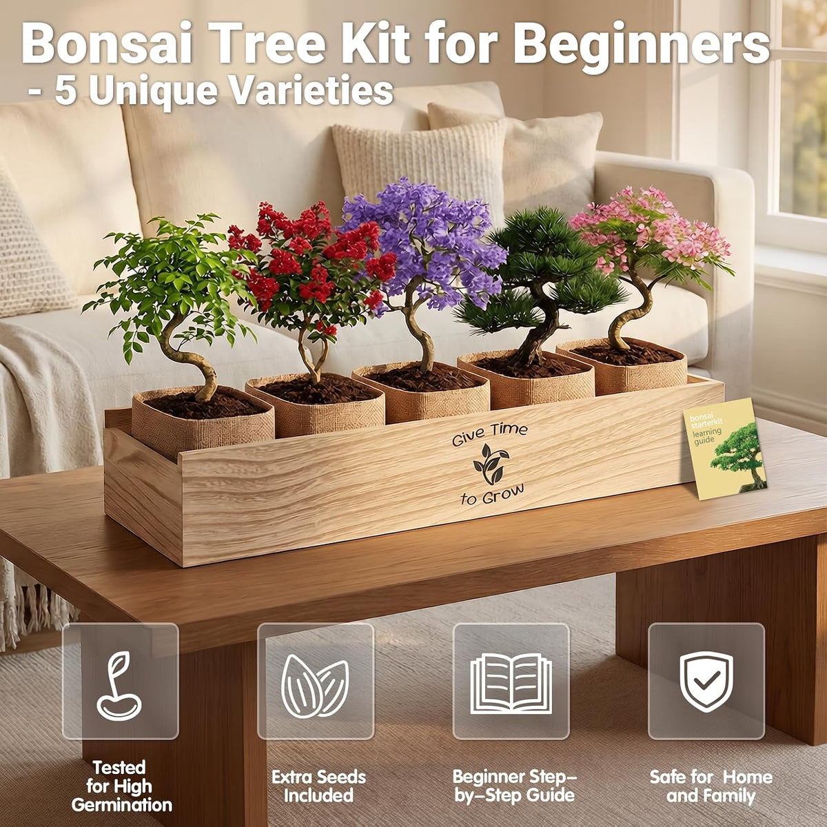 Bonsai Tree Starter Kit for Beginners 5 Unique Indoor Plants