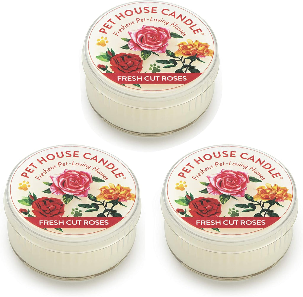 Variety Mini Candles Plant-Based Wax, 3 Pack Pet House