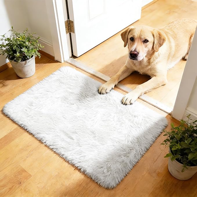 2x3 Fluffy Area Rugs for Bedroom Living Room, Small Soft Shag Fuzzy Rug by yulidayang