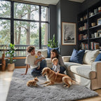 Ultra Soft Rug for Living Room, 3x5 Feet Grey Shag Area Rugs for Living Room by Junhejiamei