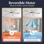 Prominence Home Bolivar, 52 Inch Modern LED Ceiling Fan with Light, Pull Chain, Dual Mounting Options, Dual Finish Blades, Reversible Motor - 80100-01 (Chrome)