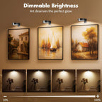 Picture Lights for Wall, Wireless Poster Lights Battery Operated, Black