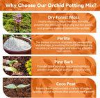 2QT Orchid Potting Mix for Repotting, Pre-Mixed & Ready-to-Use