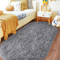 Pionblank Fluffy Oval Area Rug for Bedroom 3.3x6.2 Feet, Cute Plush Throw Rugs by PIONBLANK