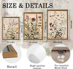 AVECCO 3 Piece Vintage Wildflower Botanical Framed Canvas Wall Art 12x16 in