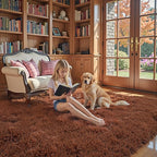 Rugs for Living Room 5x8, Alfombras para Salas Shag Large Plush Soft Area Rug - Image 3
