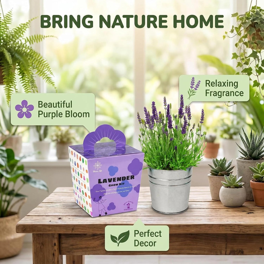 Lavender Grow Kit, All-in-One Indoor Flower Garden Starter Kit with Conical Metal Planter, Complete Growing Set for Gardening Enthusiasts, Windowsill Home Gardening
