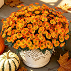 Fall Artificial Flowers Fake Mums UV Resistant for Outdoors Garden Decor