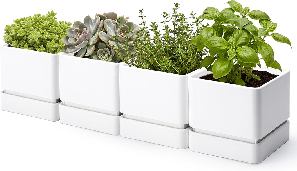 D'vine Dev 4-Pack Plastic Herb Planter Pots, 4 in, Green, 76-Y-C-1