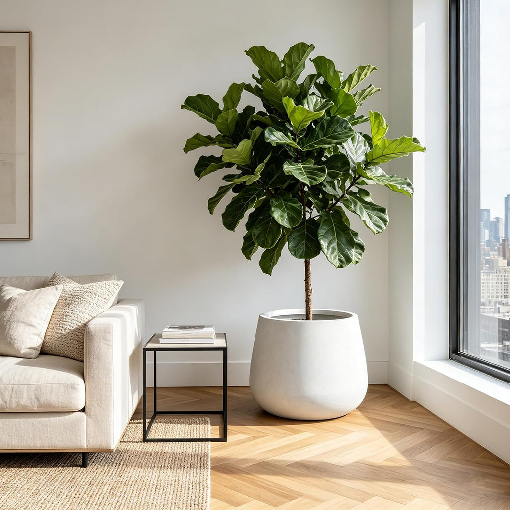 Kante Modern Home Minimalist 18.1" Dia Snow White Concrete Curved Planter
