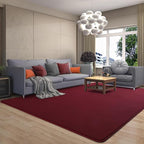 AROGAN Modern Shag Area Rug, 6x9 Feet Washable Bedroom Carpet, Plush Memory - Image 9