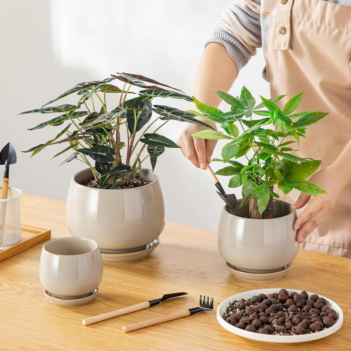 vancasso 3-Pack Ceramic Plant Pots, 3.7/4.8/6.2 Inch Indoor Planters with Saucers & Drainage Hole Planter pots for Indoor Plants and Flower, Gray