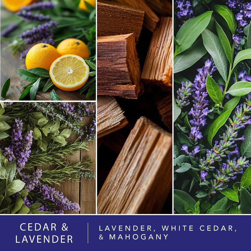 ScentSationals Cedar & Lavender Scented Wax Melts 10oz (24 Cubes)