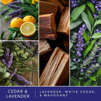 ScentSationals Cedar & Lavender Scented Wax Melts 10oz (24 Cubes)