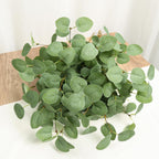 Beferr 6Pcs Artificial Eucalyptus Stems Greenery Stems 24" Tall Fake Plants Decor Faux Floral Stems for Vase Home Party Wedding Decorations