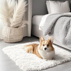 OLANLY 2x3 Machine Washable Small Bedside Rug, Soft Fluffy Shaggy Entryway by OLANLY
