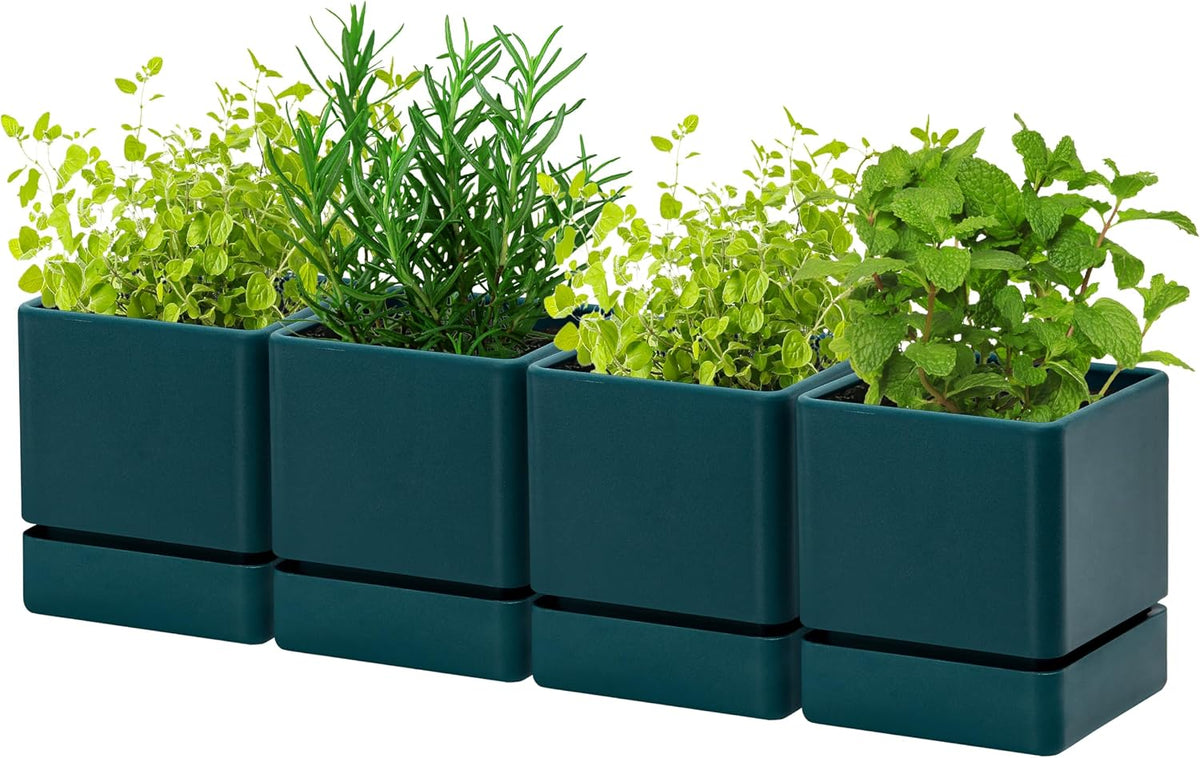 D'vine Dev 4-Pack Plastic Herb Planter Pots, 4 in, Green, 76-Y-C-1